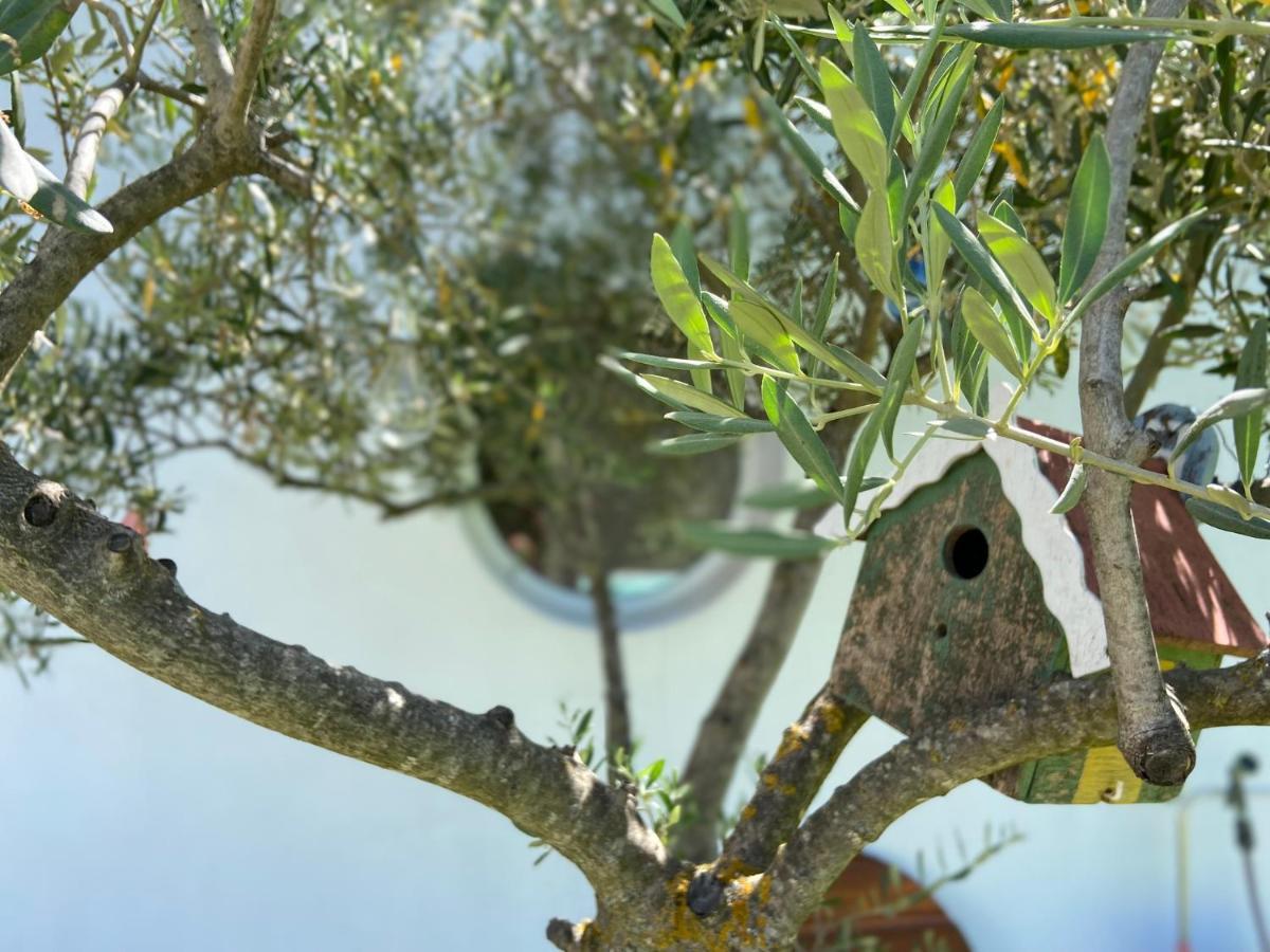 L'Oliveraie Robion en Luberon Luaran gambar