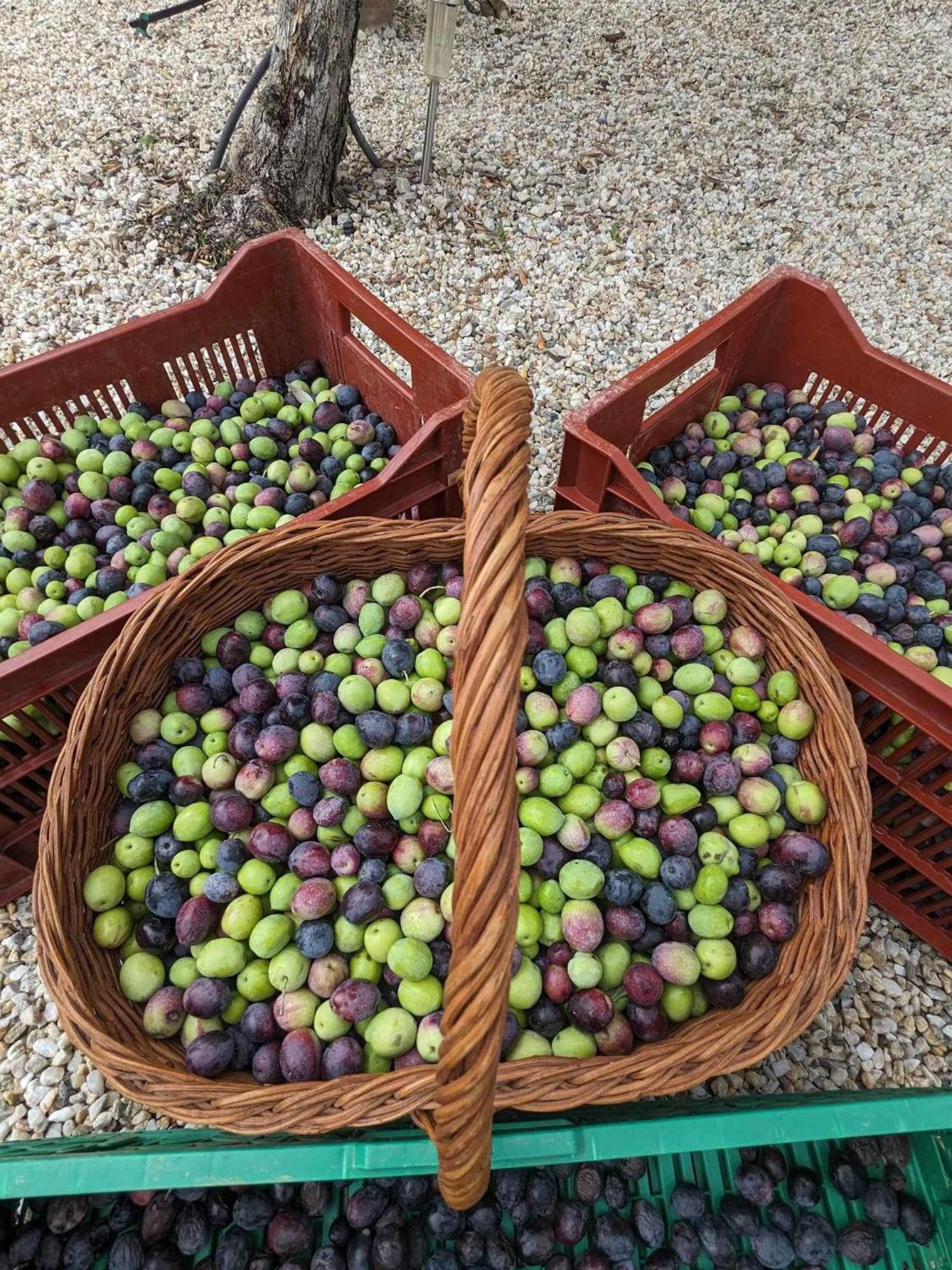 L'Oliveraie Robion en Luberon Luaran gambar